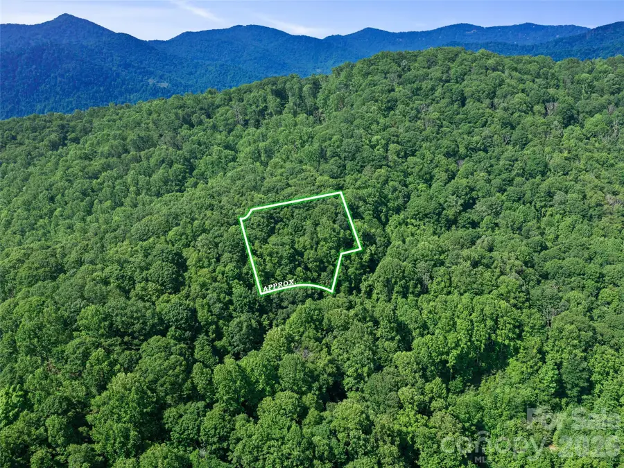 0 Lotties Creek Road, Burnsville, NC 28714 - #3