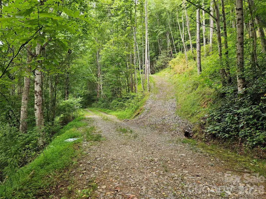 00 Wayward Cove, Clyde, NC 28721 - #3