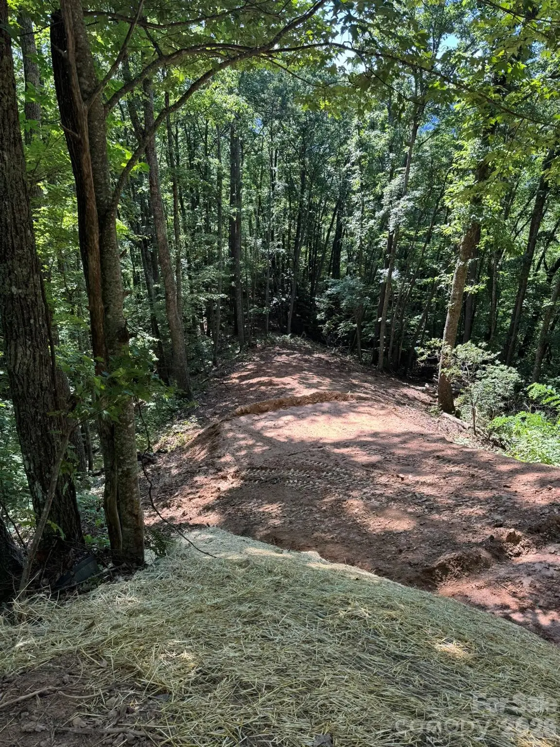 97 Hosta Drive, Sylva, NC 28779 - #1