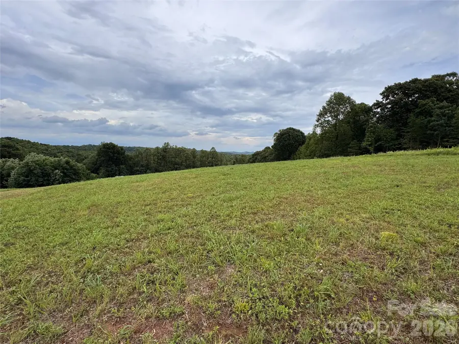 000 Pearson Road, Moravian Falls, NC 28654 - #3