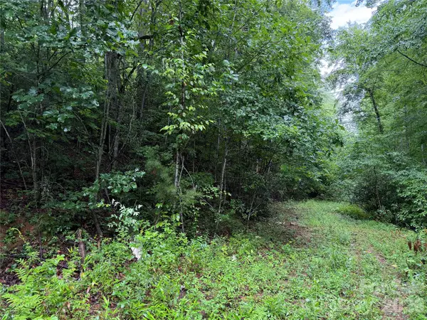 Off Donald Mccall Road, Balsam Grove, NC 28708