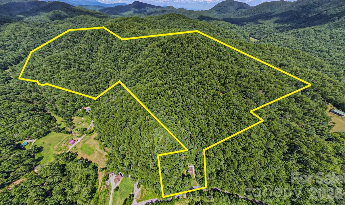35 Lower Sand Branch Road, Black Mountain, NC 28711 - #1