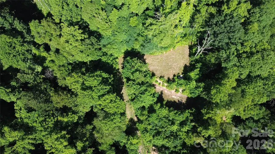 99999 Morgan Hill Road, Black Mountain, NC 28711 - #2