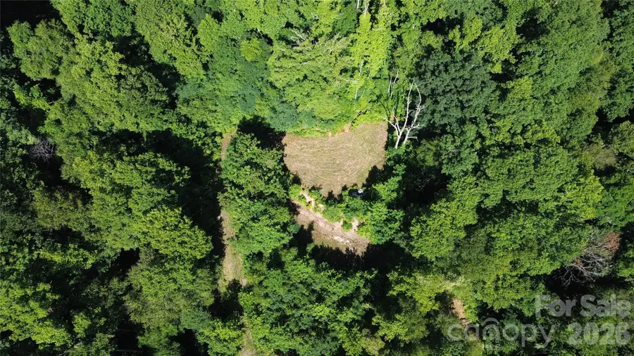 99999 Morgan Hill Road, Black Mountain, NC 28711 - #3