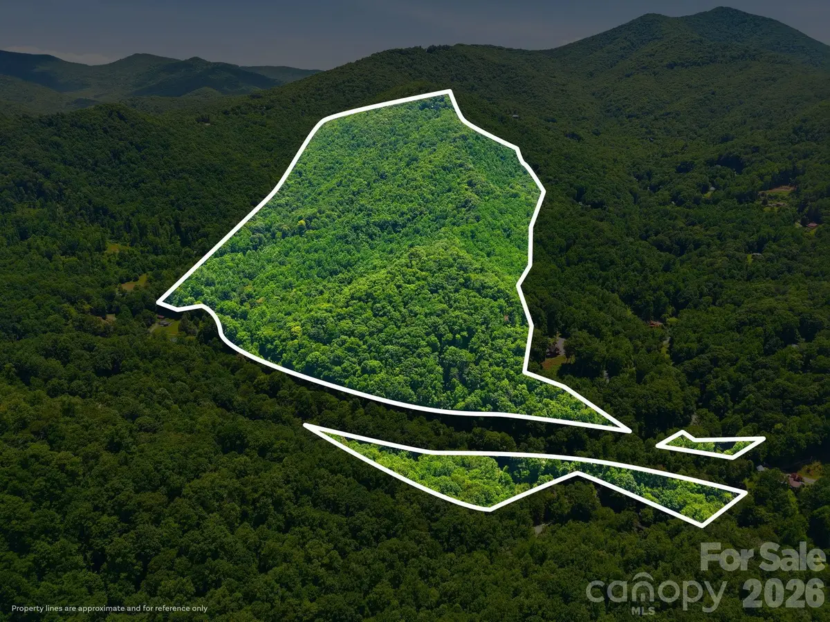 1158 Dark Ridge Road, Sylva, NC 28779 - #1