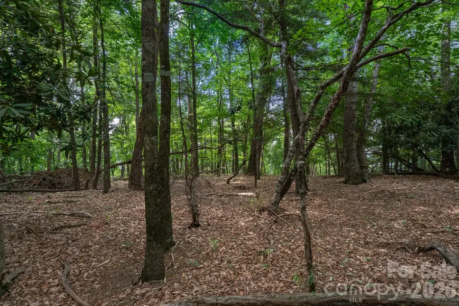 Lot 4 Old Orchard Road #4, Blowing Rock, NC 28605 - #2