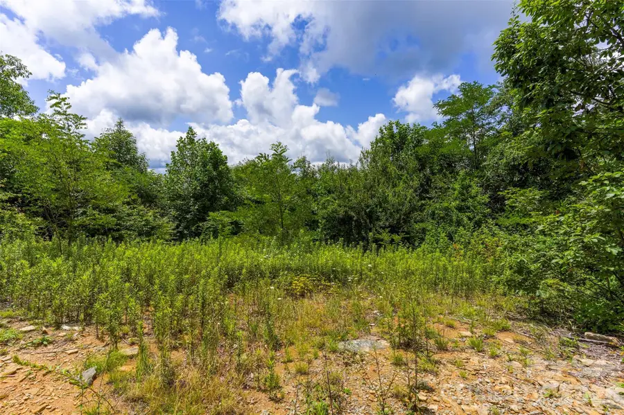 705 Pine Ridge Road #59, Hendersonville, NC 28792 - #2
