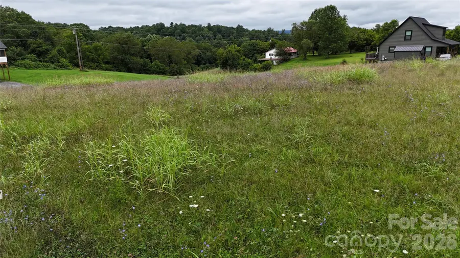 1013 Alexander Road, Leicester, NC 28748 - #2