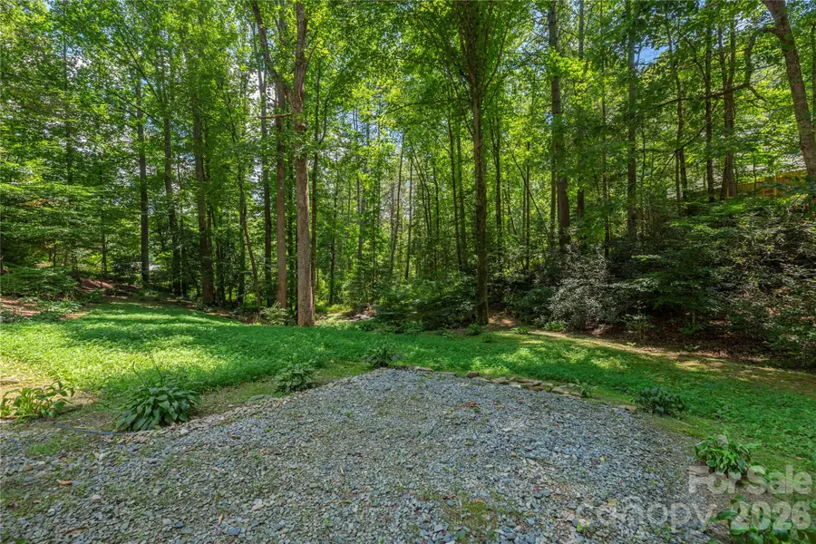 245 Bert Lane Road, Brevard, NC 28712 - #3