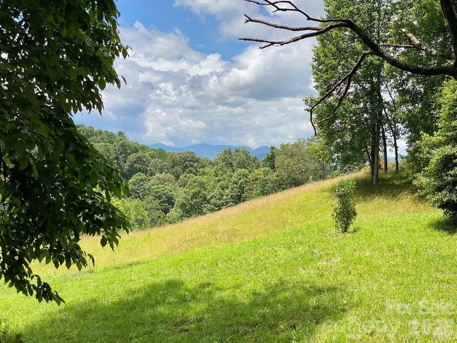 48 Sweet Fern Parkway #59, Asheville, NC 28804 - #3