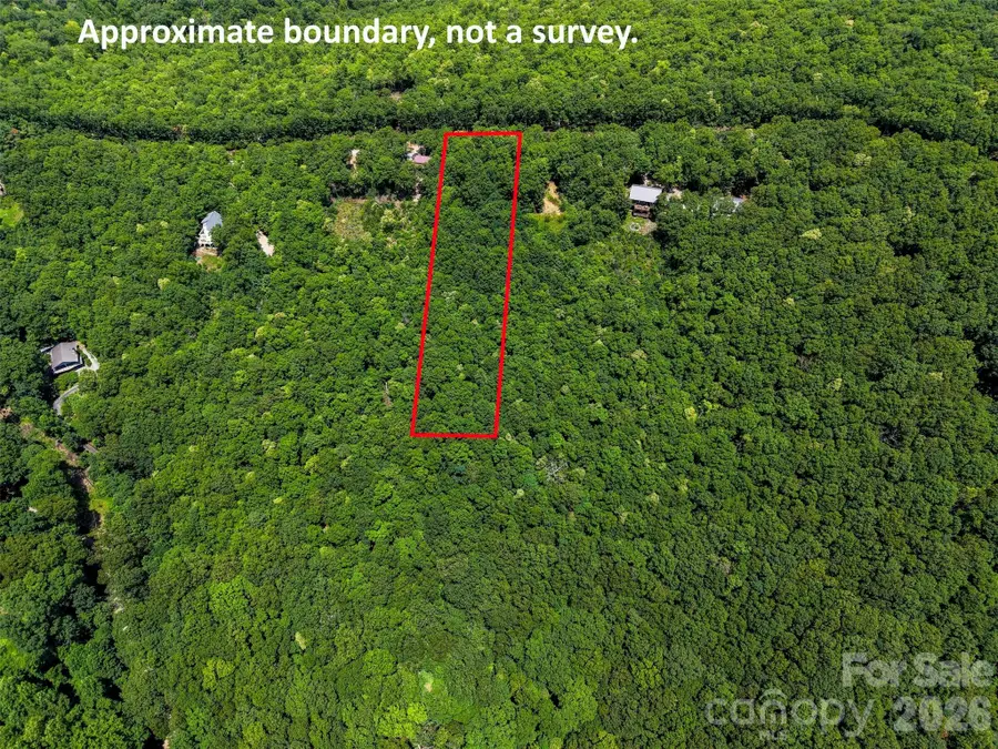 NA Pine Ridge Road #60, Hendersonville, NC 28792 - #2