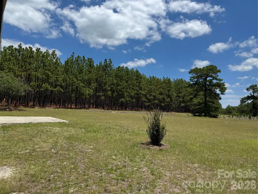 2401 Woodward Mill Road, Ruby, SC 29741 - #2