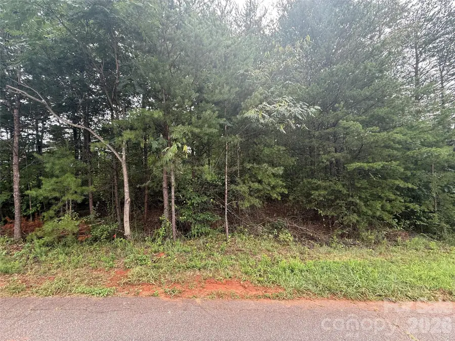 4356 Belmont Drive, Morganton, NC 28655 - #2
