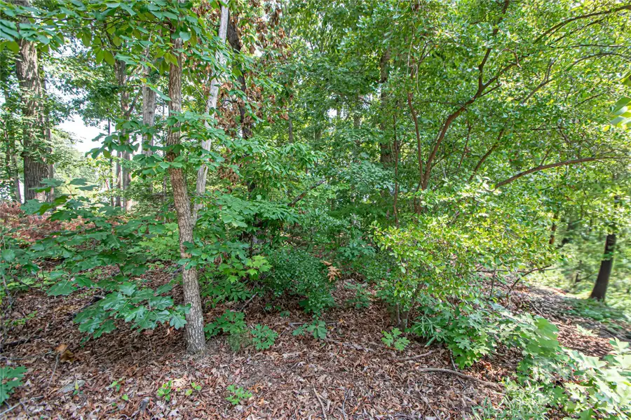 0 Sarah Drive #119, Denver, NC 28037 - #3