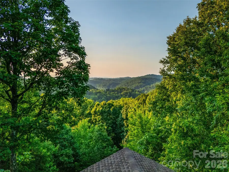 20 Adohi Court, Brevard, NC 28712 - #2