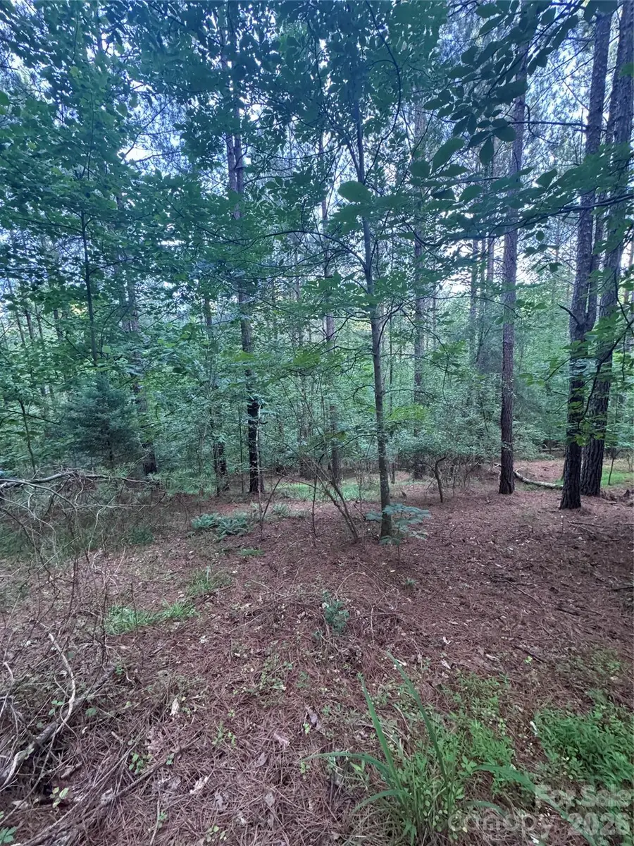0 Clearwater Parkway #203, Rutherfordton, NC 28139 - #2