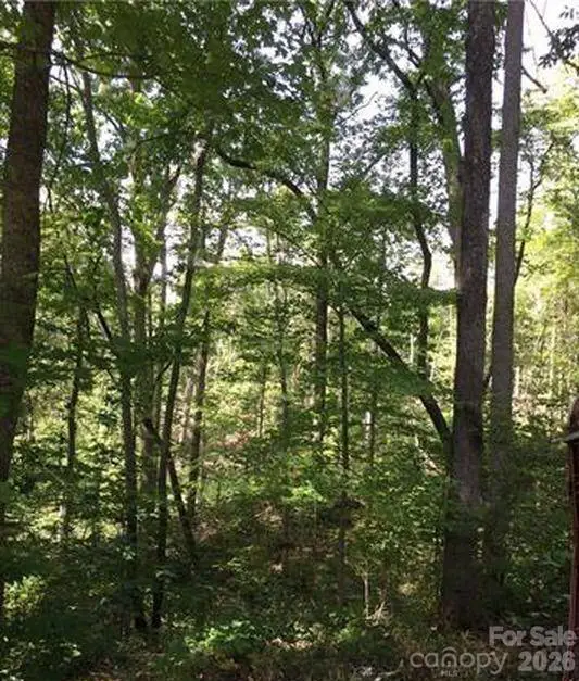 Lot 25 Bluebird Terrace, Lake Lure, NC 28746