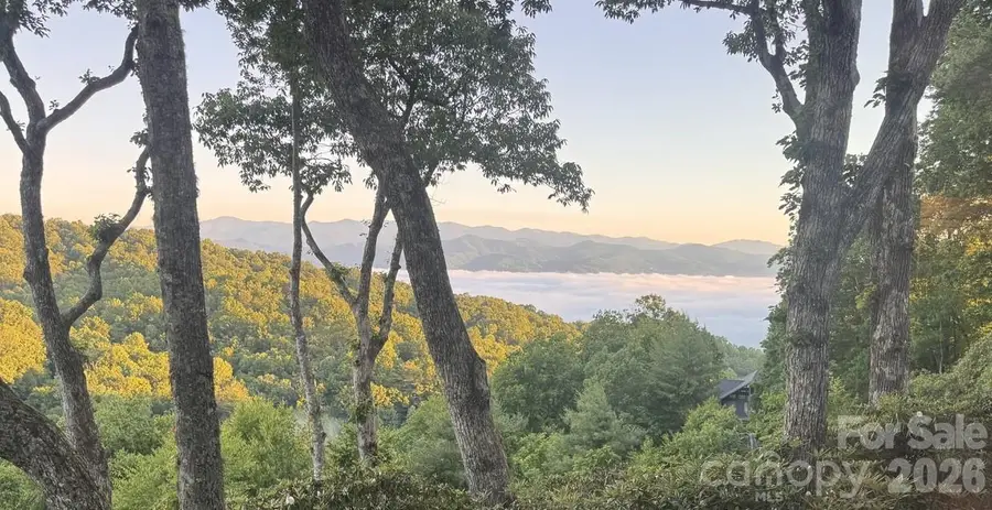 298 Tinequa Drive, Brevard, NC 28712 - #3