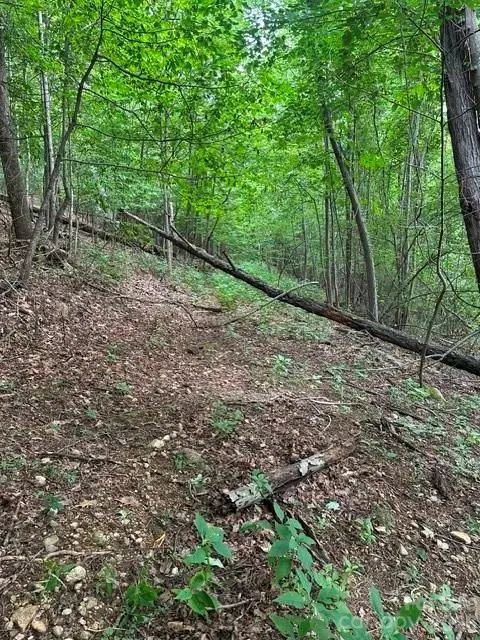 0 Cove Gap Road #1, Moravian Falls, NC 28654 - #3