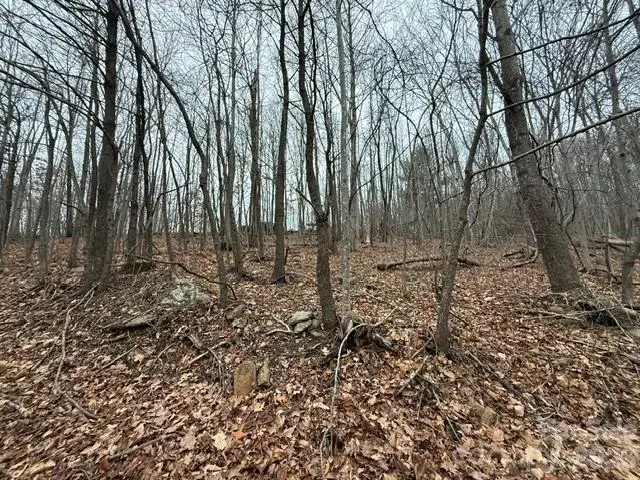 0 Cove Gap Road #2, Moravian Falls, NC 28654 - #1