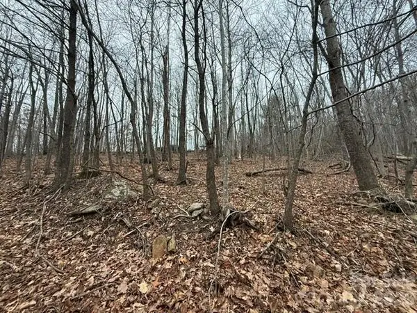 0 Cove Gap Road #2, Moravian Falls, NC 28654