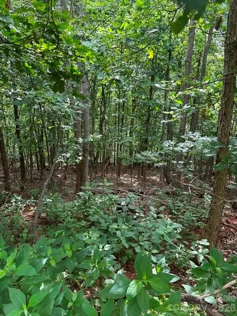0 Cove Gap Road #2, Moravian Falls, NC 28654 - #2