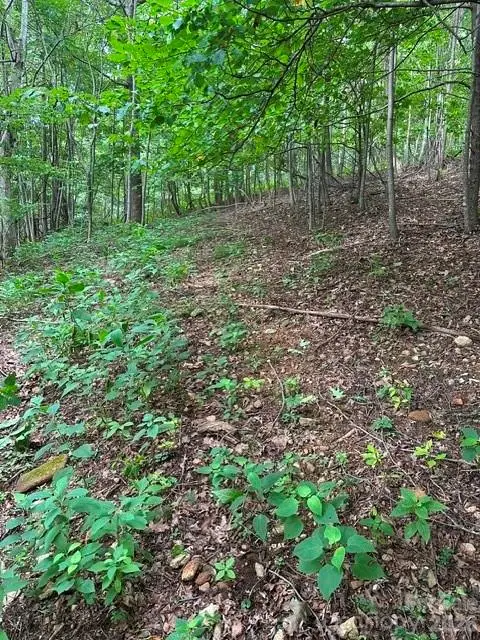 0 Cove Gap Road #2, Moravian Falls, NC 28654 - #3