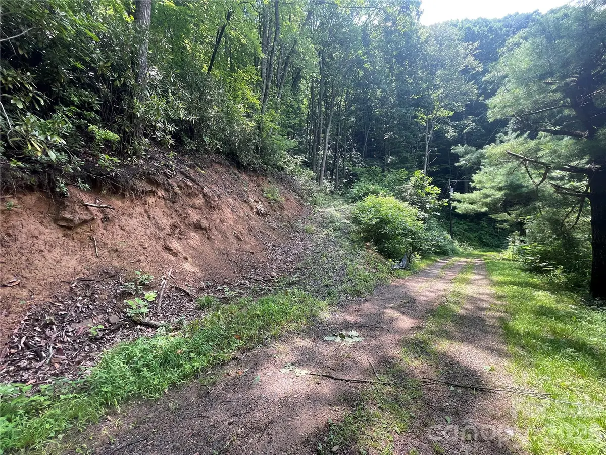 242 Floyd Road, Waynesville, NC 28786 - #1