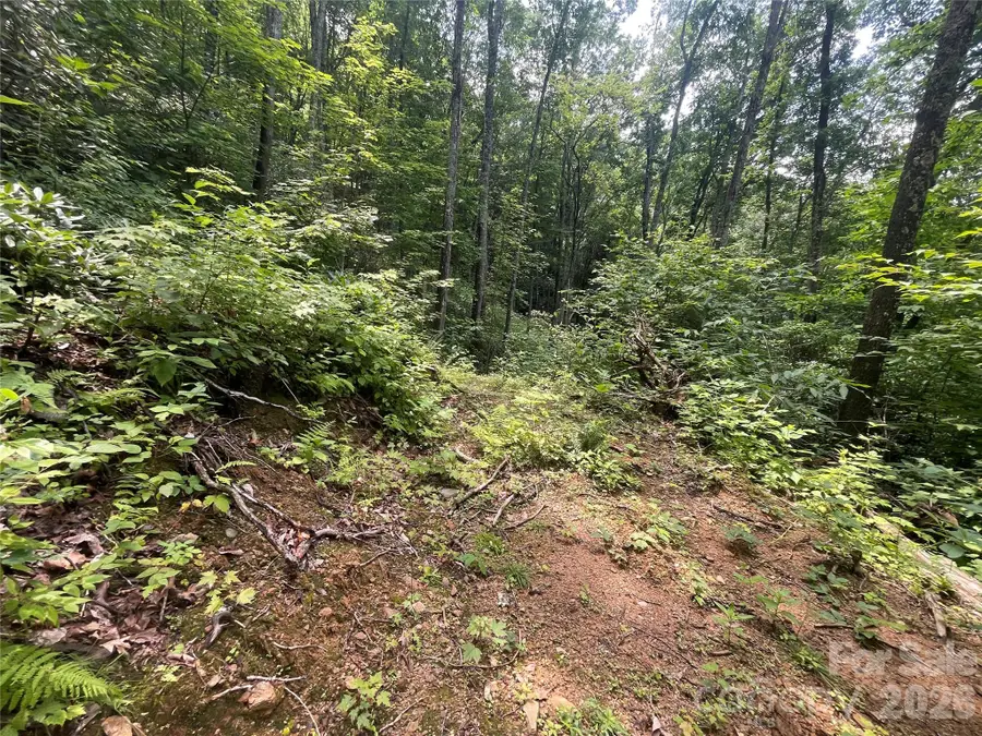 242 Floyd Road, Waynesville, NC 28786 - #2