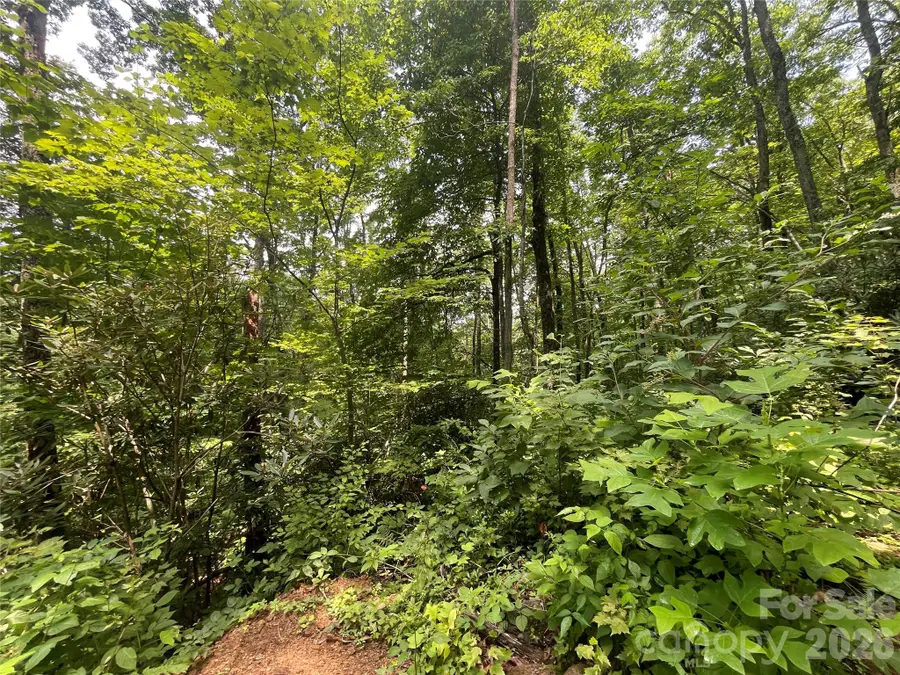 242 Floyd Road, Waynesville, NC 28786 - #3