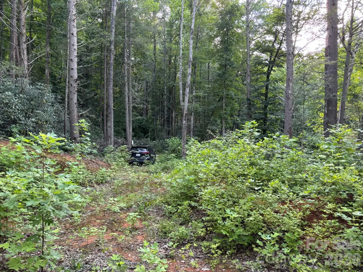 Lot 41 Peace Wood Lane #41, Hendersonville, NC 28792 - #1