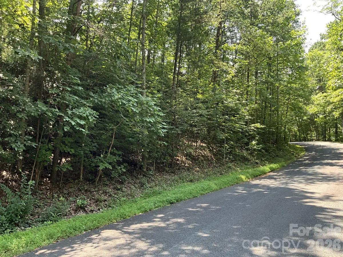 Lot 77 Winesap Boulevard, Lake Lure, NC 28746 - #1