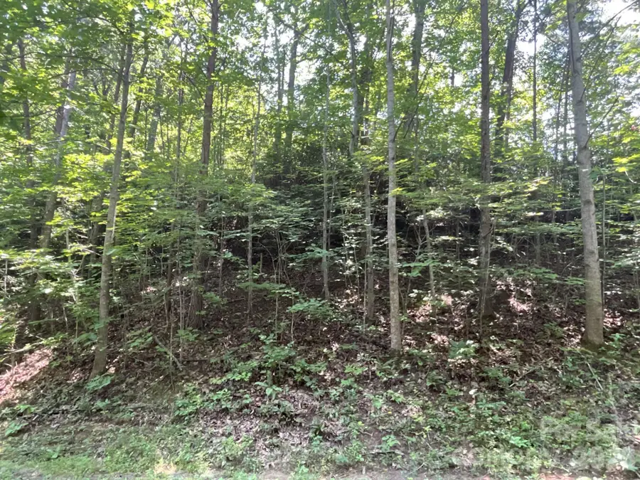 Lot 77 Winesap Boulevard, Lake Lure, NC 28746 - #2