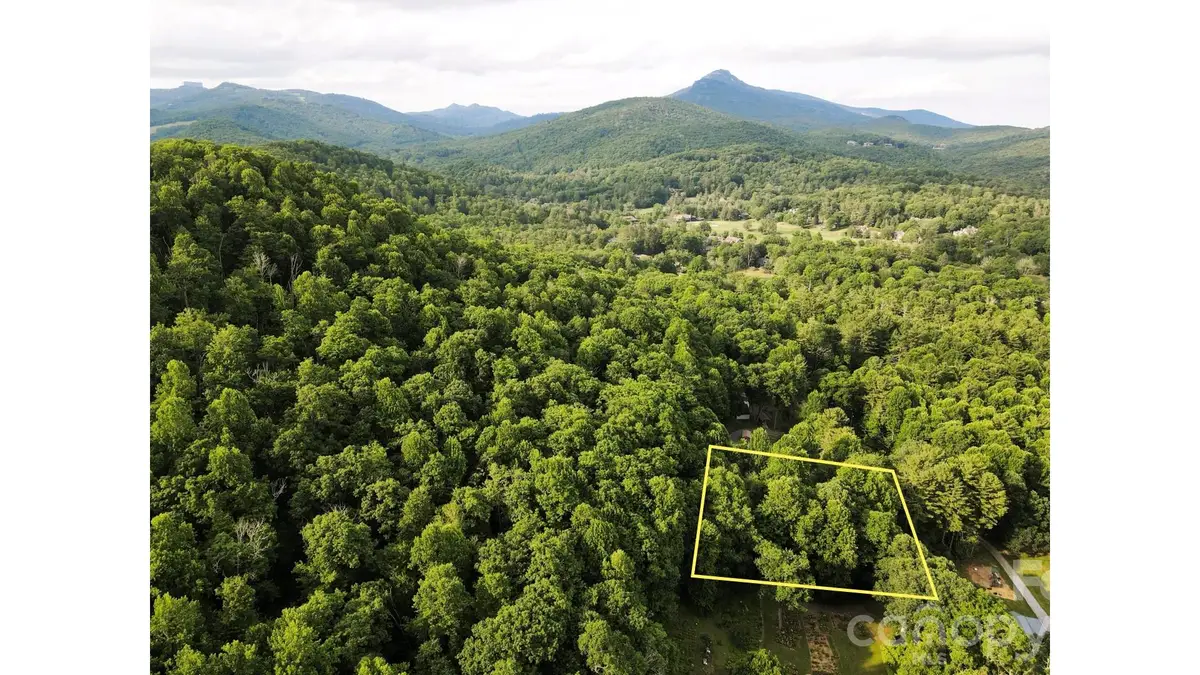 01 Coffey Road, Linville, NC 28646 - #1