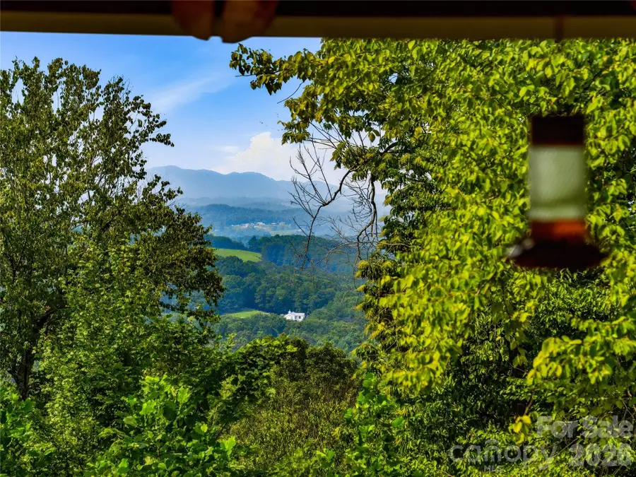 226 High Top Mountain Road, Leicester, NC 28748 - #2