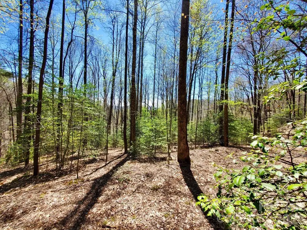Lot 9 Hemlock Falls Drive #9, Sylva, NC 28779 - #1
