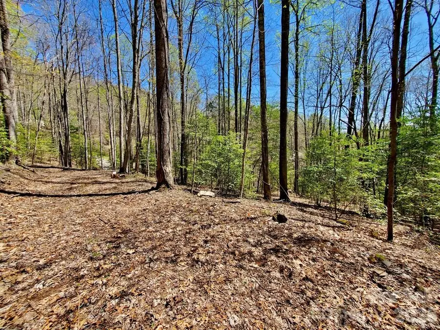 Lot 9 Hemlock Falls Drive #9, Sylva, NC 28779 - #2
