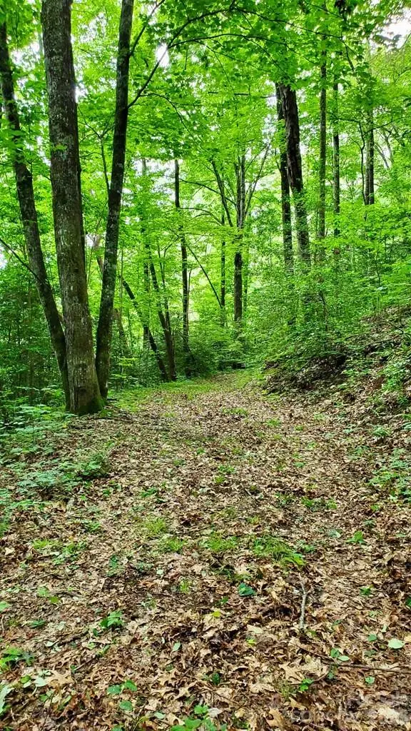 Lot 9 Hemlock Falls Drive #9, Sylva, NC 28779 - #3
