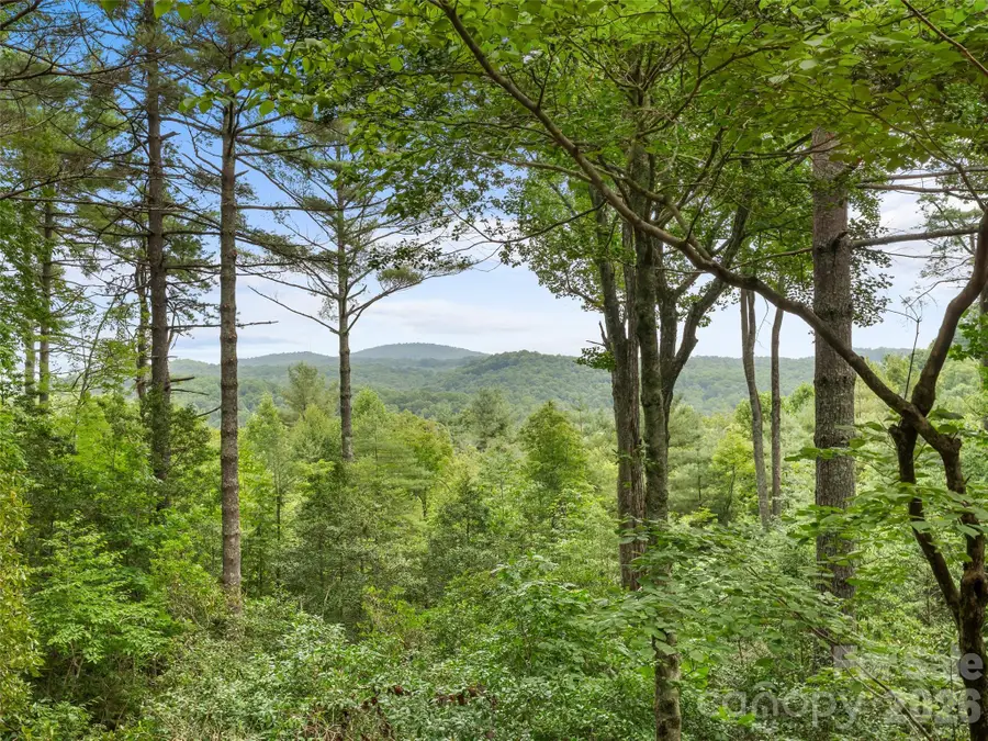 32 Uloque Court, Brevard, NC 28712 - #2