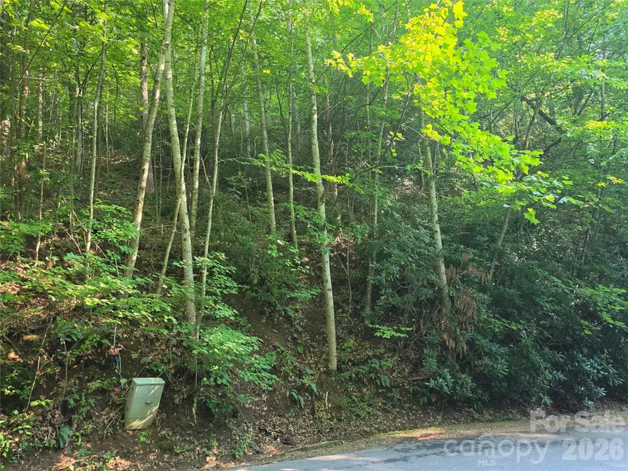 TBD Henry Dingus Way #26, Maggie Valley, NC 28751 - #3
