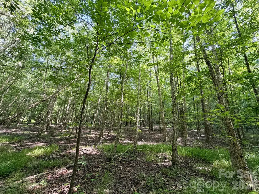 6244 Oakridge Road, Lake Wylie, SC 29710 - #3