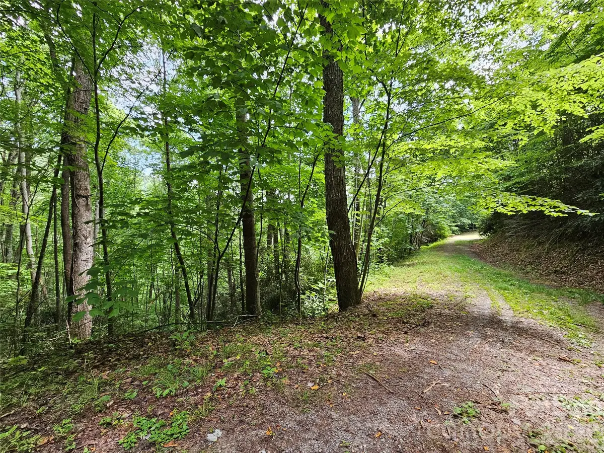 00 Autumn Drive #2, Waynesville, NC 28785 - #1