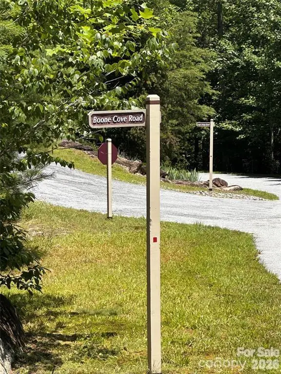 66 Boone Cove Road, Zirconia, NC 28790 - #2