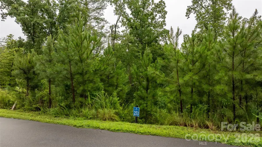 0 Scenic Lane #253, Granite Falls, NC 28630 - #3