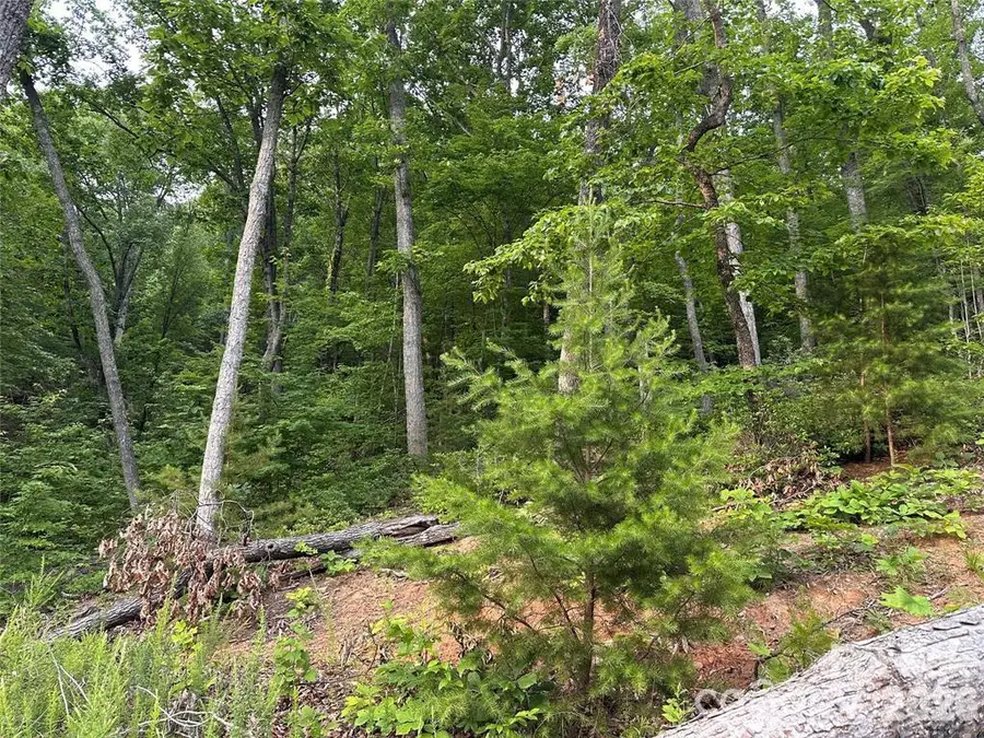 0 Golden Ridge Drive, Lake Lure, NC 28746 - #2