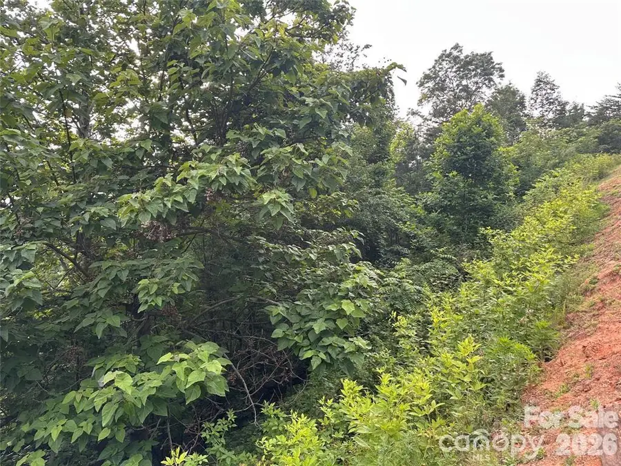 0 Golden Ridge Drive, Lake Lure, NC 28746 - #3
