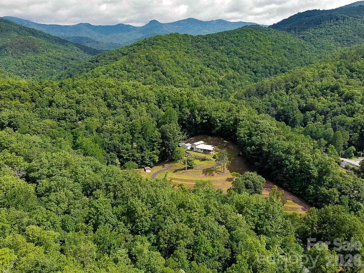 82 Trout Haven Lane, Balsam Grove, NC 28708 - #1