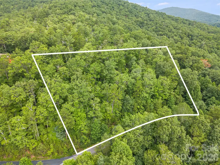45 Lobdell Road #45, Pisgah Forest, NC 28768 - #2