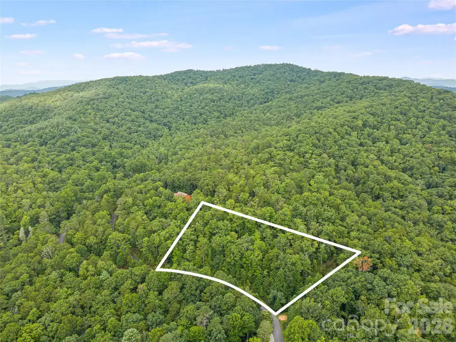 45 Lobdell Road #45, Pisgah Forest, NC 28768 - #3