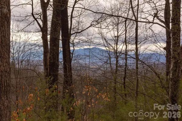 0 Ashland Mountain Road, Bakersville, NC 28705
